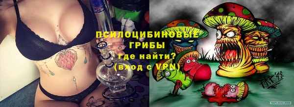 винт Алексин