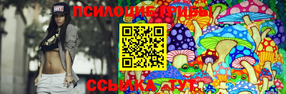 Златоуст  Галлюциногенные грибы прущие грибы  Вход с VPN  Псилоцибиновые грибы Psilocybe 